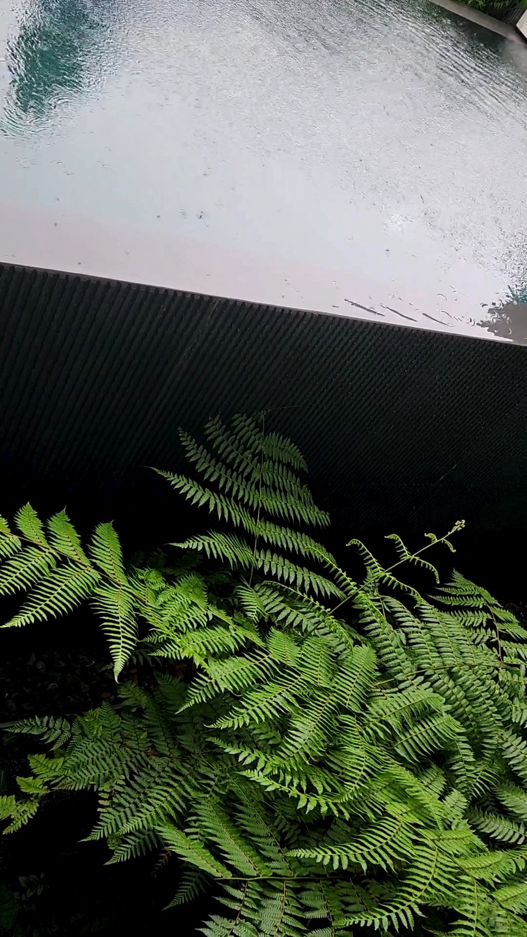 Rainy days at MCHU Villa
Feelings ...
#MCHU_villa
#MAS
#architecture
#MAS_Architecture
#housedesign
#DaNang
#VietNam